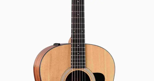 Taylor 117e Sapele Offerta Speciale